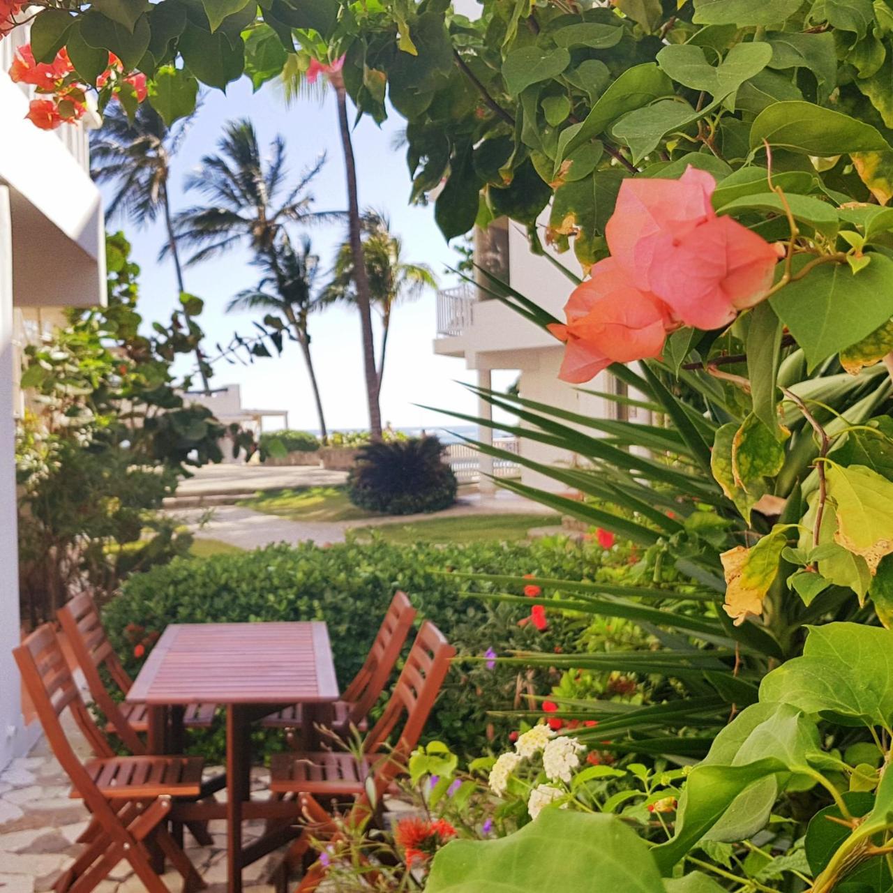 Condo Cabrinha - Direct On Kite Beach Cabarete Esterno foto